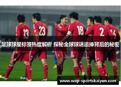 足球球星标签热度解析 探秘全球球迷追捧背后的秘密